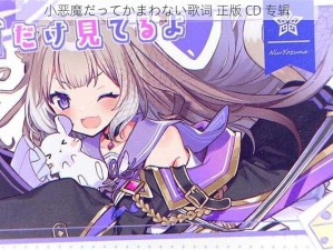 小恶魔だってかまわない歌词 正版 CD 专辑