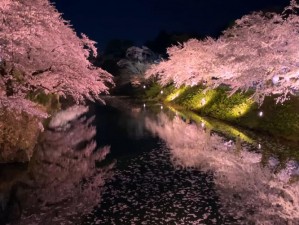 日本高清 WWW 在线观看视频，让你畅享极致视觉体验