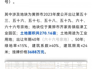 石油大亨土地拍卖策略：如何选择最佳地块实现财富最大化