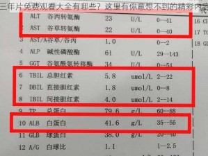 三年片免费观看大全有哪些？这里有你意想不到的精彩内容