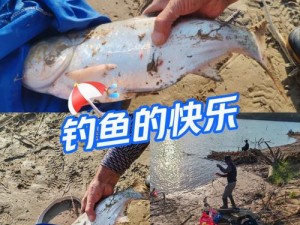 深入解析：重装上阵全新钓鱼玩法介绍，捕获游戏中的快乐时刻