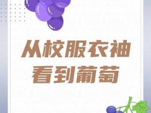 从校服衣袖偷窥葡萄——用独特设计满足你的味蕾