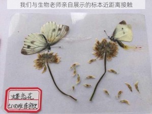 我们与生物老师亲自展示的标本近距离接触