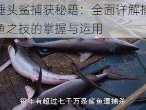 锤头鲨捕获秘籍：全面详解捕鱼之技的掌握与运用