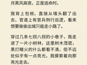 公车被强伦的 H 文：独特刺激的官能小说