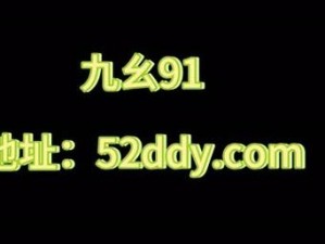 2023 年九幺 91 旧版安装指南：快速了解如何安装旧版应用程序