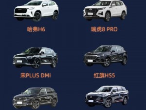 家用经济实惠国产 SUV，精品一区二区 69 推荐