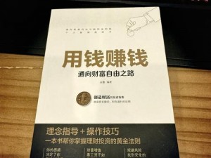 《中世纪王朝极速财富积累：高效赚钱全攻略》