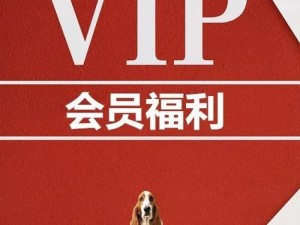 韩国 vip19 福利视频：海量高清无码资源免费畅享