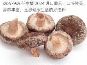 x9x9x9x9 任意槽 2024 进口蘑菇，口感鲜美，营养丰富，是您健康生活的好选择