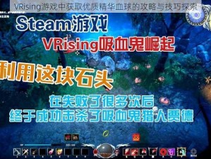 VRising游戏中获取优质精华血球的攻略与技巧探索