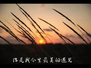 抖音热曲：豆浆油条般的深情旋律，唤醒你我共同回忆的歌