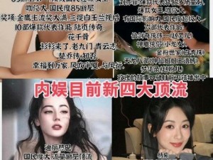 国产精品理伦天美传媒：内娱新顶流