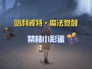 哈利波特魔法觉醒禁林调查深度攻略：探索玩法与策略指南