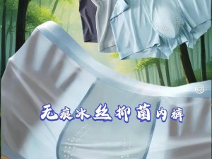 冰丝无痕抗菌抑菌女内裤 HD