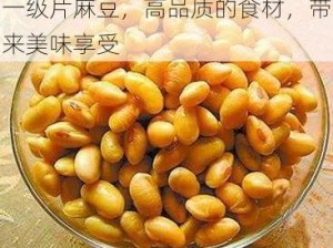 一级片麻豆，高品质的食材，带来美味享受