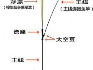 勇士食堂钓鱼实操手册：手动钓鱼方法教程详解