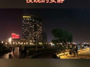 红桃视频成人版：让你的夜晚更精彩