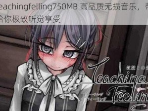 teachingfelling750MB 高品质无损音乐，带给你极致听觉享受