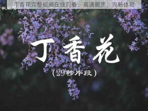 丁香花完整视频在线观看，高清画质，流畅体验