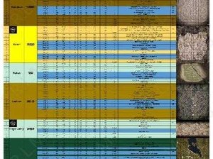 战争公约明斯克地图攻略大全：通关路线指引与战术详解