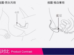 跳 DAN 是放在哪里的示意图：情趣玩具使用指南