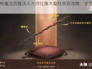 哈利波特魔法觉醒决斗大师红橡木魔杖获取攻略：全面解析获取途径