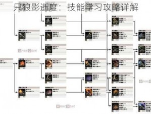 只狼影逝度：技能学习攻略详解