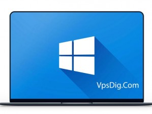 国产 VPSWINDOWS 精品，性能强劲，价格实惠，操作便捷，安全可靠