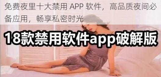 免费夜里十大禁用 APP 软件，高品质夜间必备应用，畅享私密时光