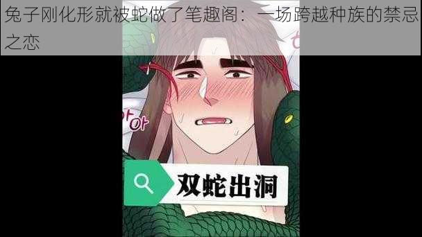 兔子刚化形就被蛇做了笔趣阁：一场跨越种族的禁忌之恋