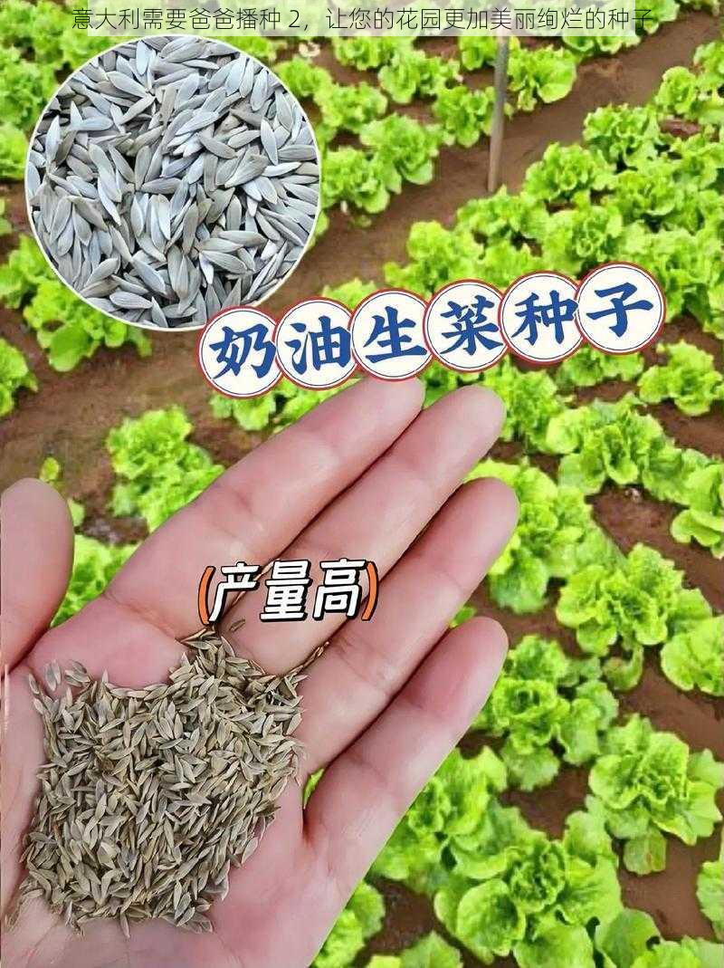 意大利需要爸爸播种 2，让您的花园更加美丽绚烂的种子