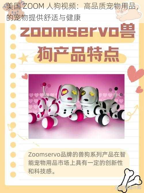 美国 ZOOM 人狗视频：高品质宠物用品，的宠物提供舒适与健康