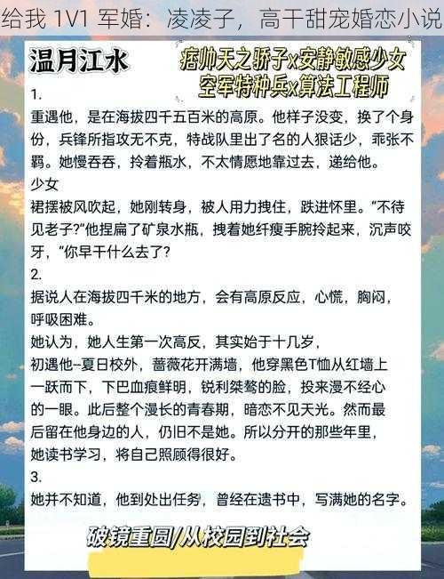 给我 1V1 军婚：凌凌子，高干甜宠婚恋小说