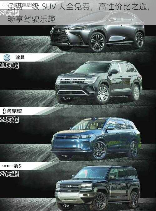 免费一级 SUV 大全免费，高性价比之选，畅享驾驶乐趣