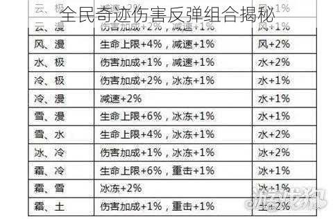 全民奇迹伤害反弹组合揭秘