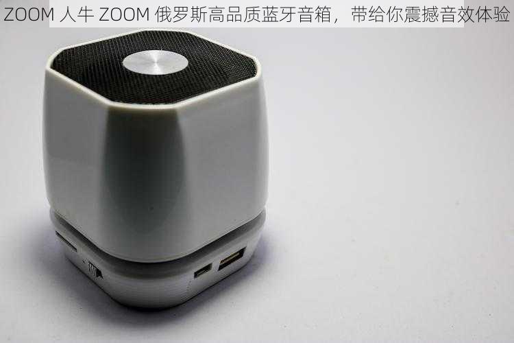 ZOOM 人牛 ZOOM 俄罗斯高品质蓝牙音箱，带给你震撼音效体验