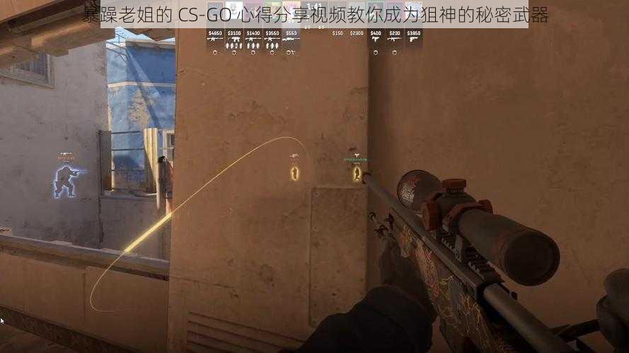 暴躁老姐的 CS-GO 心得分享视频教你成为狙神的秘密武器