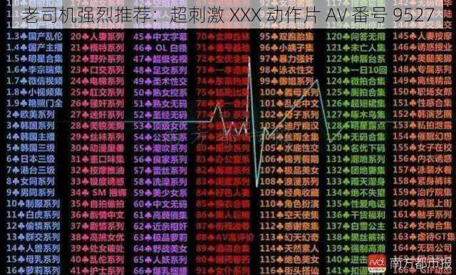 老司机强烈推荐：超刺激 XXX 动作片 AV 番号 9527