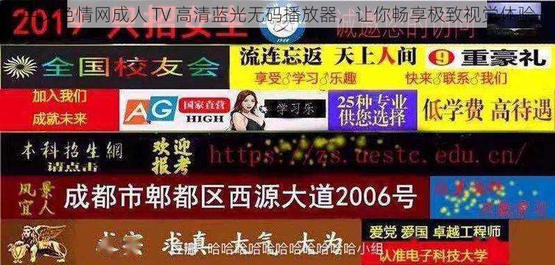 中文色情网成人 TV 高清蓝光无码播放器，让你畅享极致视觉体验