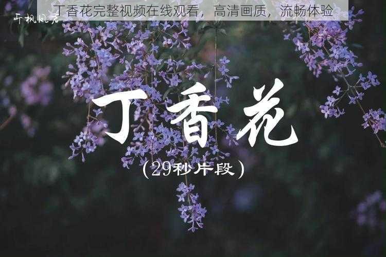 丁香花完整视频在线观看，高清画质，流畅体验