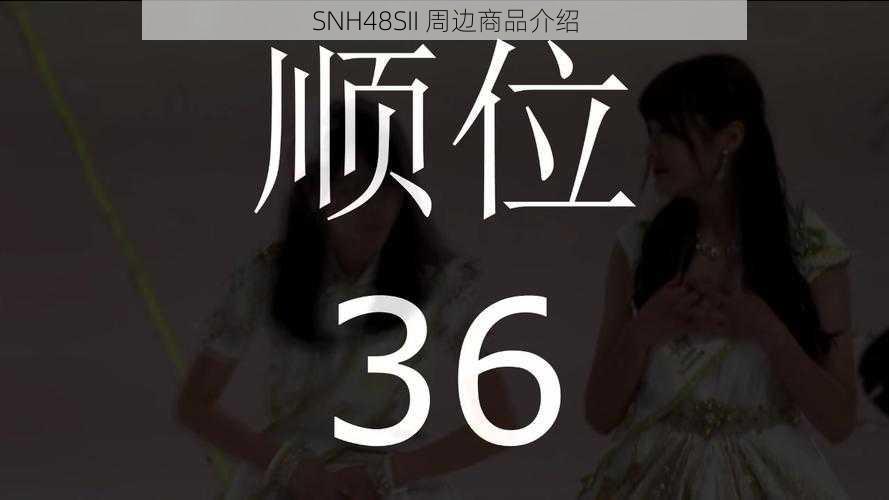 SNH48SII 周边商品介绍