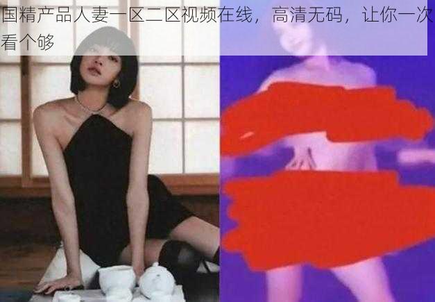 国精产品人妻一区二区视频在线，高清无码，让你一次看个够