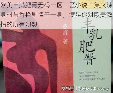 欧美丰满肥臀无码一区二区小说：集火辣身材与香艳剧情于一身，满足你对欧美激情的所有幻想