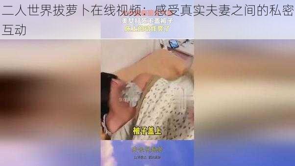 二人世界拔萝卜在线视频：感受真实夫妻之间的私密互动