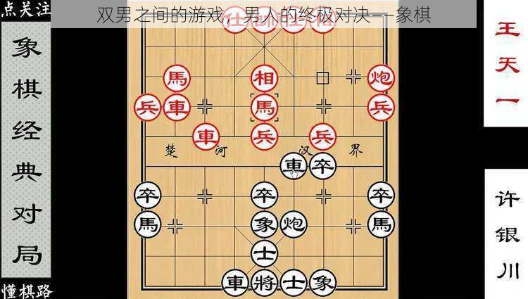 双男之间的游戏，男人的终极对决——象棋