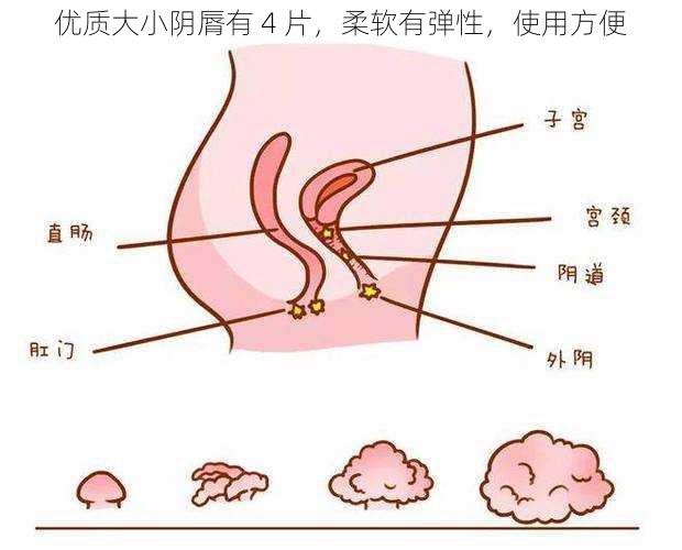 优质大小阴脣有 4 片，柔软有弹性，使用方便