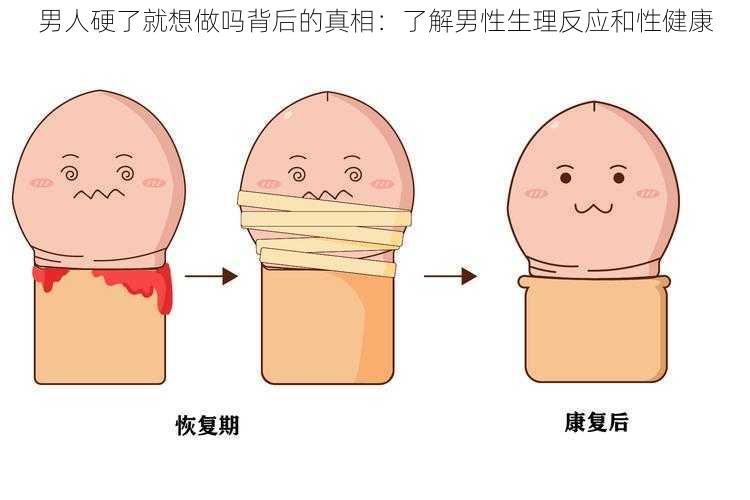 男人硬了就想做吗背后的真相：了解男性生理反应和性健康