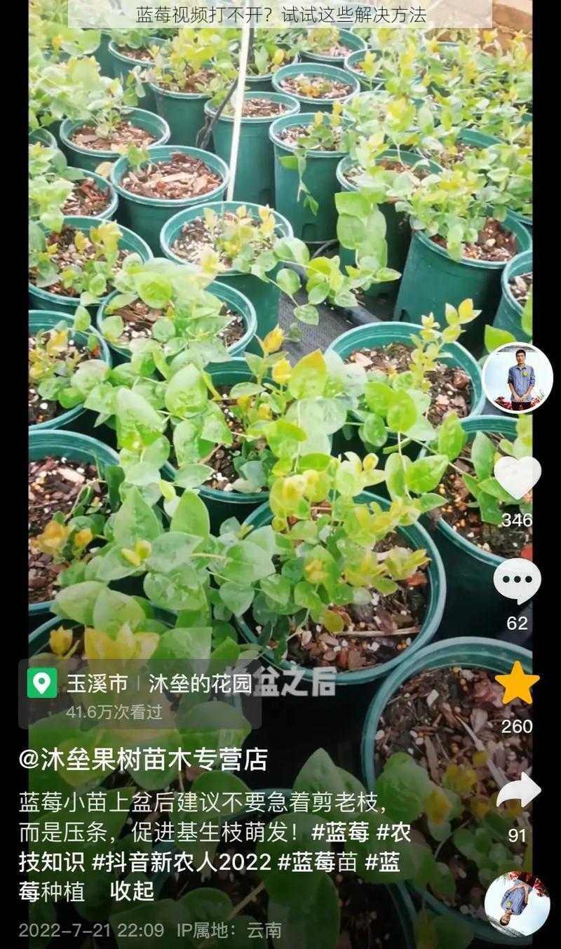 蓝莓视频打不开？试试这些解决方法