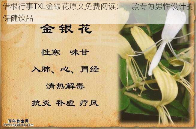 借根行事TXL金银花原文免费阅读：一款专为男性设计的保健饮品